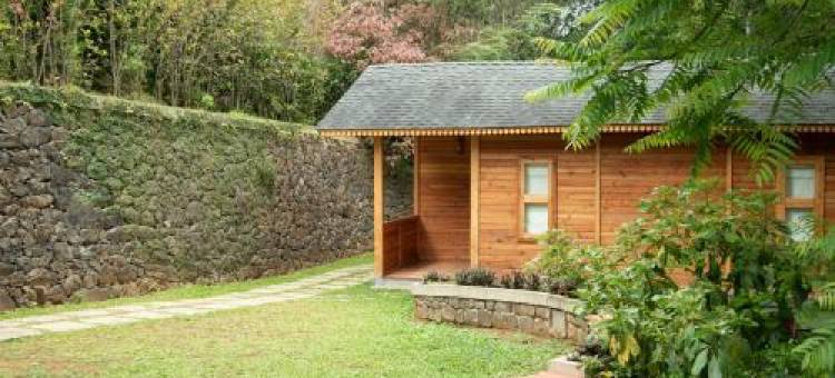 Misty Mountain Experience图片