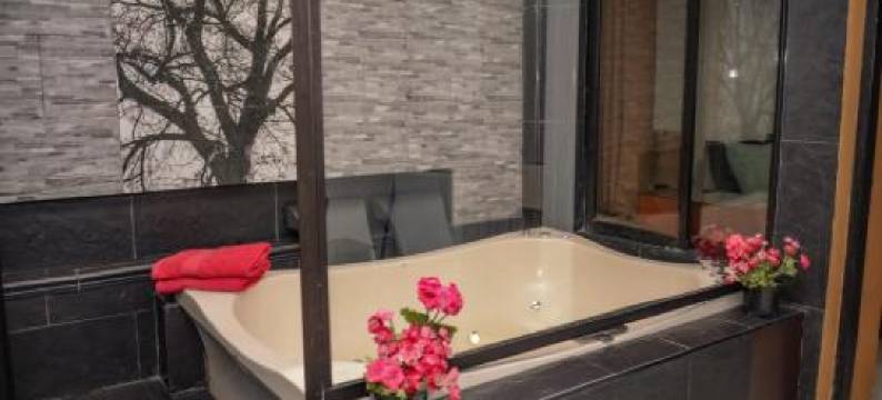 卡莱8号套房(Calle 8 Suites)图片