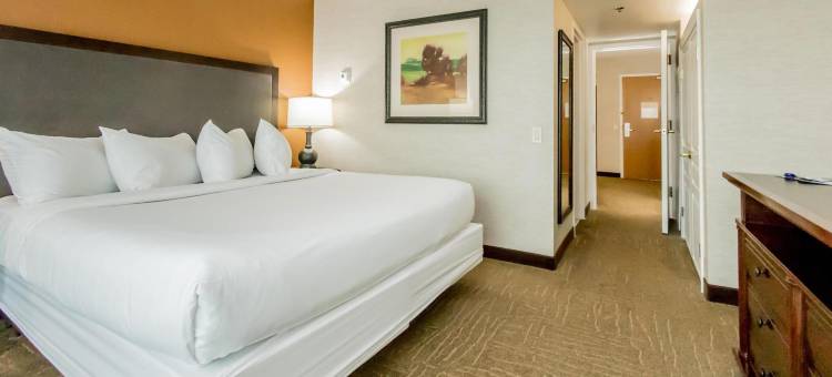 列克星敦格林希尔顿大使套房酒店(Embassy Suites by Hilton Lexington Green)图片