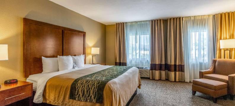 舒适酒店(Comfort Inn)图片