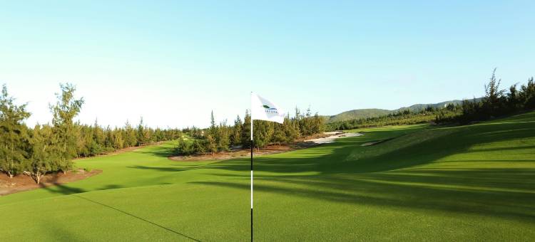 FLC归仁豪华度假酒店(FLC Luxury Resort Quy Nhon)图片