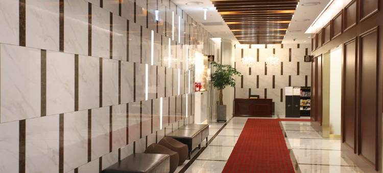 天空花园酒店明洞1号店(Hotel Skypark Myeongdong 1)图片