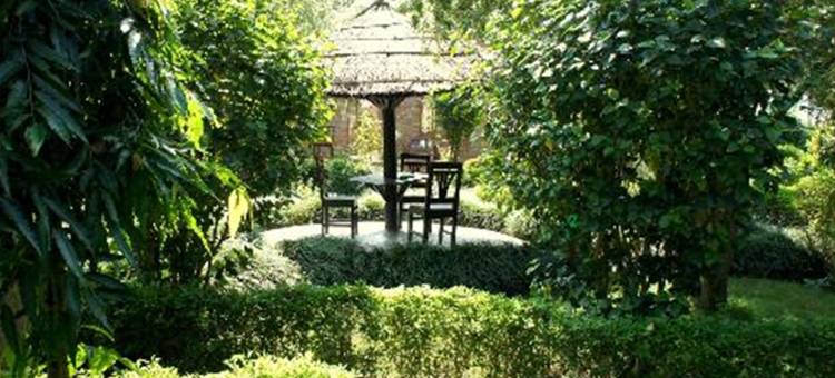 巴迪亚森林度假村(Bardia Forest Resort)图片