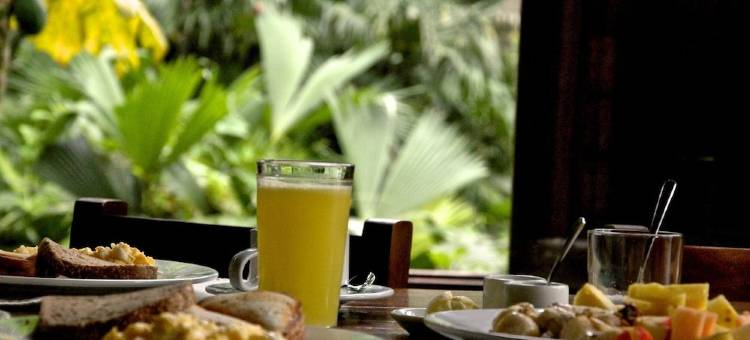 绿色足迹雨林旅馆(Huella Verde Rainforest Lodge)图片