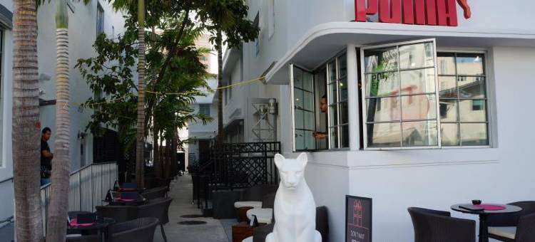 珀斯南海滩酒店(Posh South Beach)图片