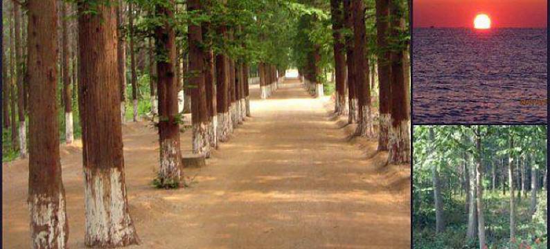 日照玉浩民宿图片