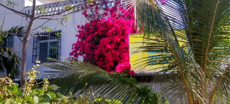 吉阳区海罗一路一巷海螺人家公寓(海螺一路一巷分店)图片