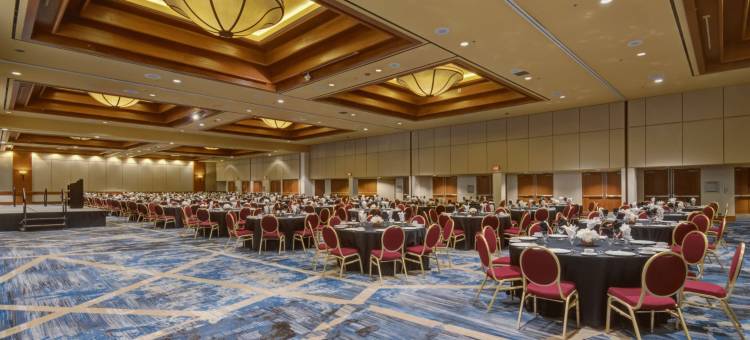 塔尔萨南山万豪酒店(Marriott Tulsa Hotel Southern Hills)图片