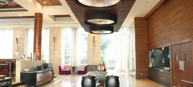 智选假日酒店-昌迪加尔潘奇库拉-洲际酒店集团旗下(Holiday Inn Chandigarh Panchkula, an IHG Hotel)图片