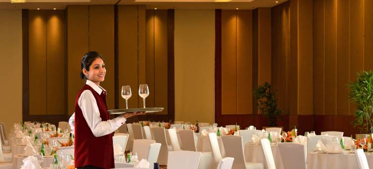 齐拉克普尔丽亭酒店(Park Plaza Zirakpur)图片