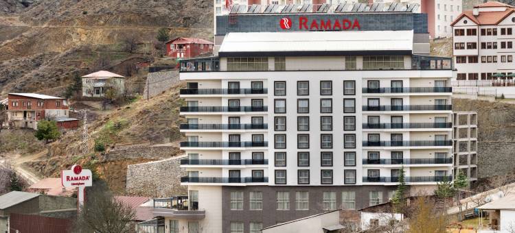 居米什哈内温德姆华美达酒店(Ramada by Wyndham Gumushane)图片