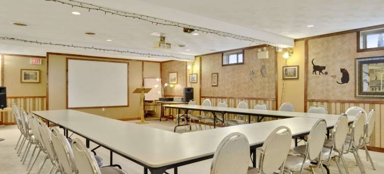 骑士酒店-伍德斯托克(Knights Inn Woodstock)图片