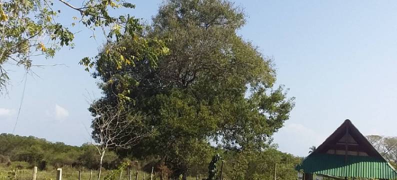 Cabana de Descanso, Isla de Baru - Cartagena - Rest Cabin, Baru Island -Bolivar图片