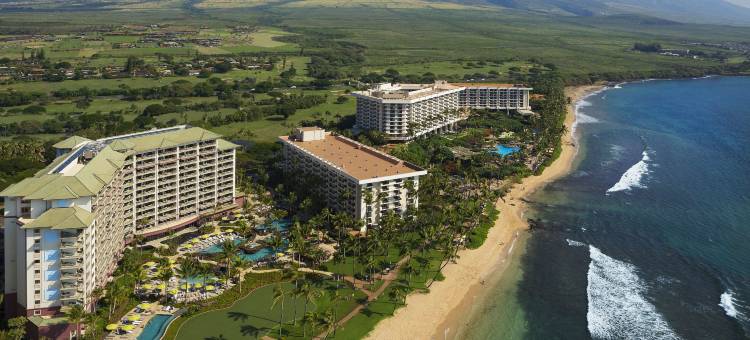 毛伊岛凯悦度假村及水疗中心(Hyatt Regency Maui Resort & Spa)图片