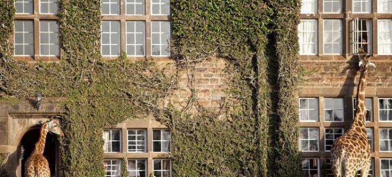 长颈鹿庄园(Giraffe Manor)图片