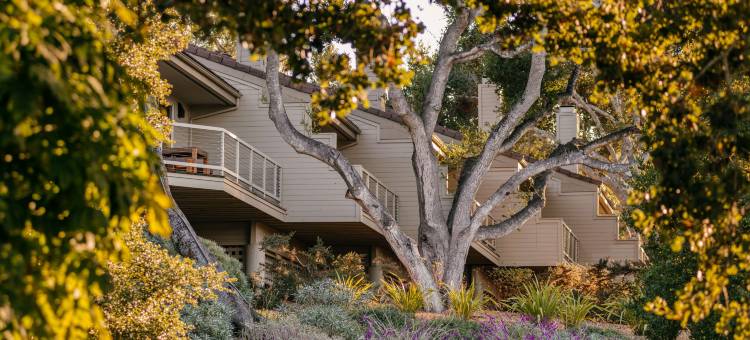 卡梅尔谷牧场酒店-Hyatt臻选(Carmel Valley Ranch, in The Unbound Collection by Hyatt)图片