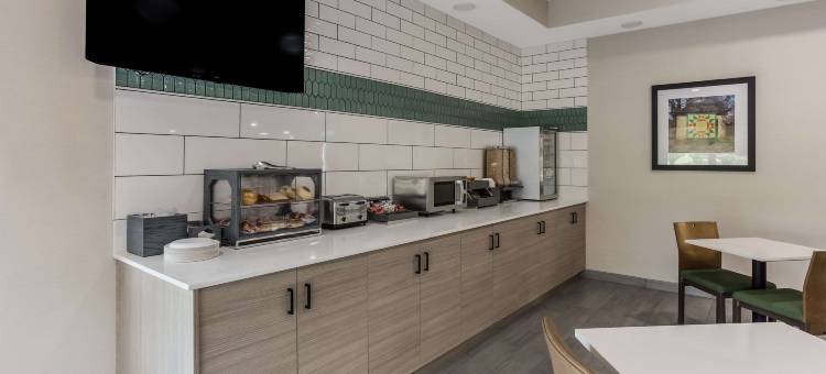 布恩波纳伊斯 - 坎卡基美茵斯坦套房酒店(MainStay Suites Bourbonnais - Kankakee)图片