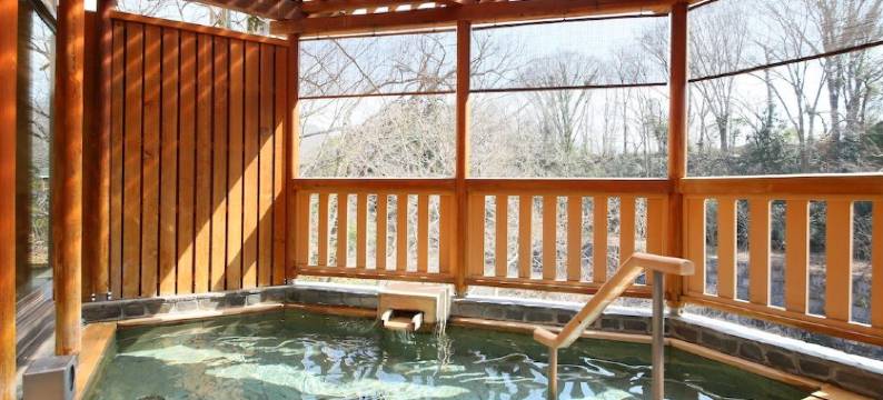 和铜矿泉御之宿Wadoh旅馆(Yu No Yado Wadoh)图片