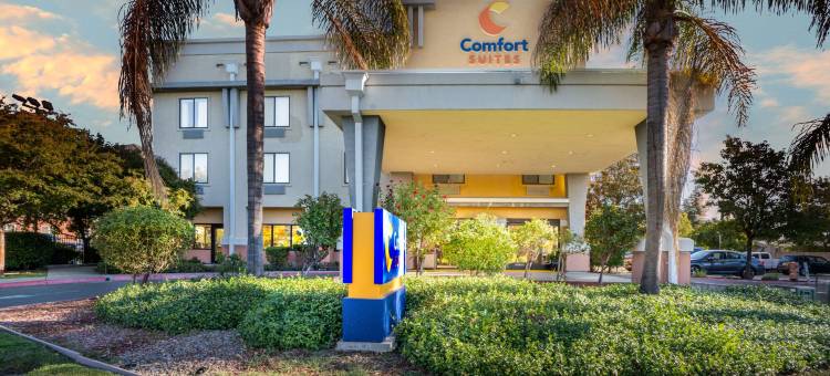 瓦卡拉维尔 - 纳帕谷舒适套房酒店(Comfort Suites Vacaville-Napa Valley Area)图片