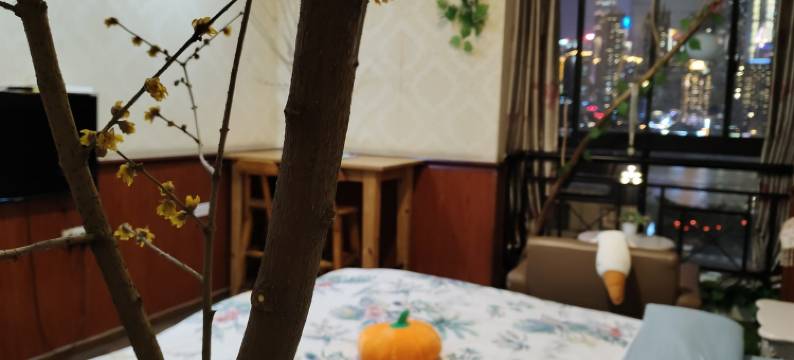 心灵驿站江景马拉松起跑点民宿(晓月路分店)图片