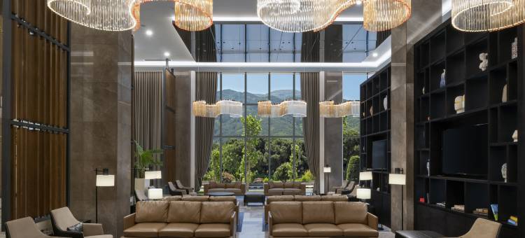 里昂欧洲博览馆希尔顿逸林酒店及度假村(Doubletree by Hilton Lyon Eurexpo)图片
