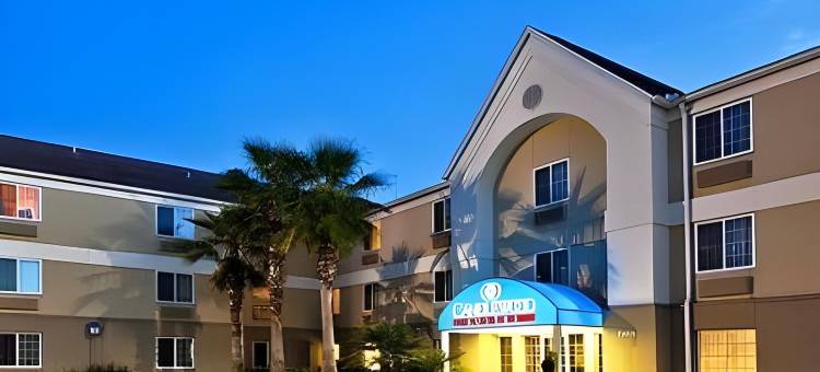 Candlewood Suites 杰克森维尔(Candlewood Suites Jacksonville)图片