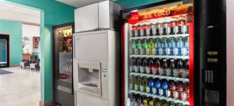 夸利蒂酒店(Quality Inn)图片