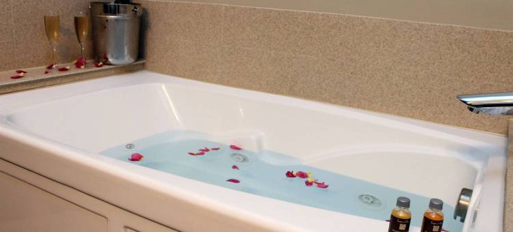 摩根敦学者饭店 - 希尔顿启缤精选饭店(Scholar Morgantown, Tapestry Collection by Hilton)图片