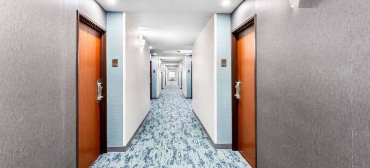 舒适酒店(Comfort Inn)图片