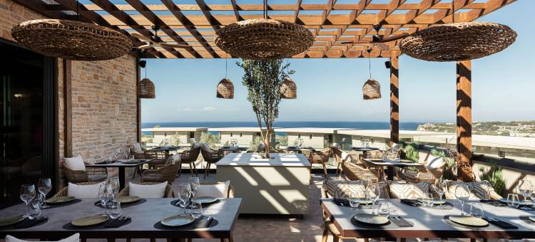 为成人设计的King Jason Zante(King Jason Zante – Designed for Adults)图片