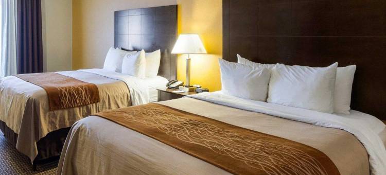 舒适套房酒店(Comfort Inn & Suites)图片
