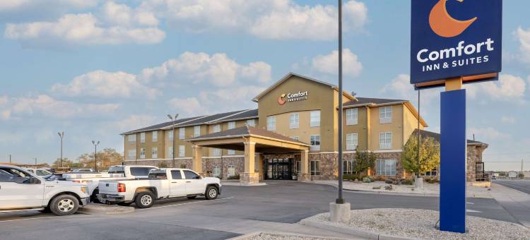 阿尔特西亚舒适酒店及套房(Comfort Inn &amp; Suites Artesia)图片