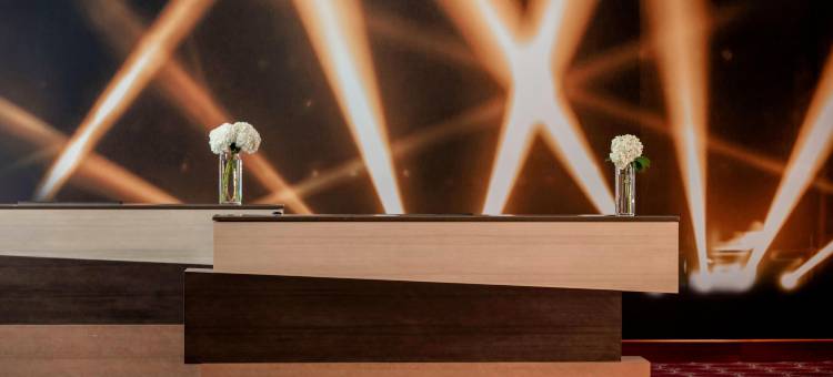 达拉斯理查森万丽酒店(Renaissance Dallas Richardson Hotel)图片