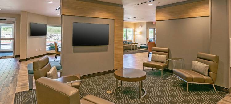 奥斯汀南部TownePlace Suites酒店(TownePlace Suites Austin South)图片