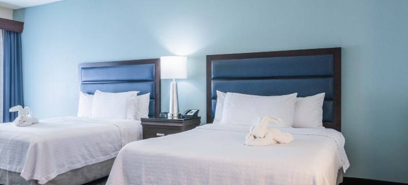 迈阿密机场西Homewood Suites by Hilton(Homewood Suites by Hilton Miami - Airport West)图片