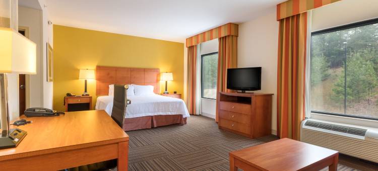 希尔顿欢朋酒店-灵戈尔德/奥格尔索普堡(Hampton Inn Ringgold-Ft. Oglethorpe)图片