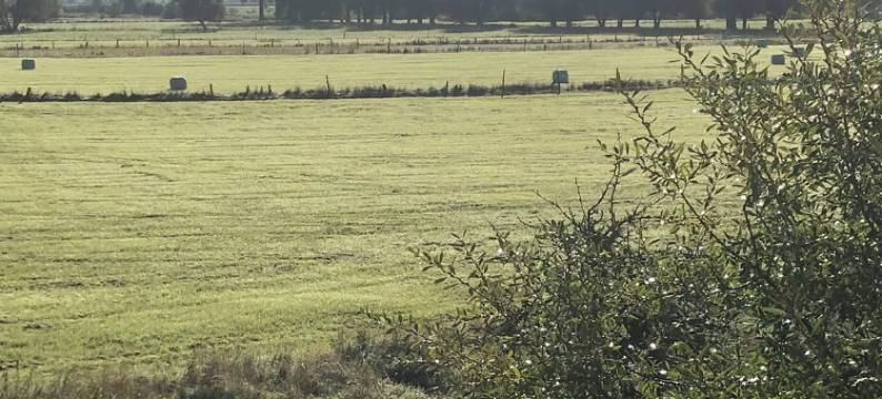 A view worth seeing to switch off图片