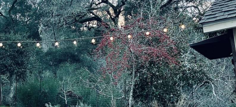 🌿5.0 Rating🌿 Sunny, spacious cozy retreat + firepit. World-class trails!图片