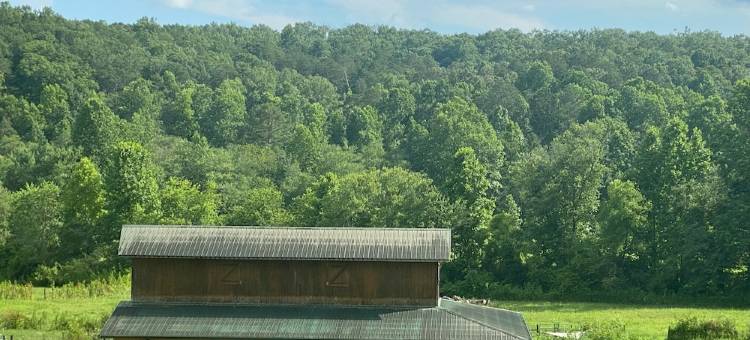 6 Minutes to Downtown Blue Ridge. Fully Updated, Amazing, Serene Barn Studio.图片