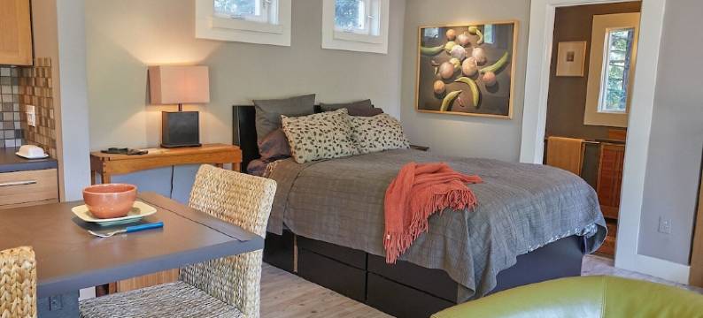 Studio cottage retreat in a vineyard setting图片