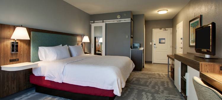 芝加哥安若拉欢朋套房酒店(Hampton Inn & Suites Chicago/Aurora)图片