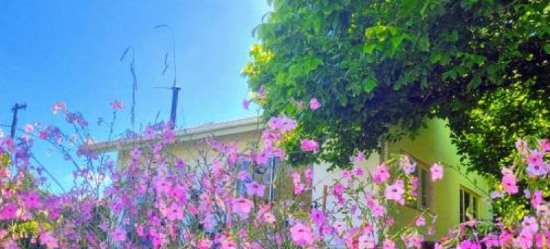 The Cottage on the Corner图片