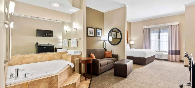 巴拿马城舒适套房酒店-近廷德尔空军基地(Comfort Suites Panama City Near Tyndall AFB)图片