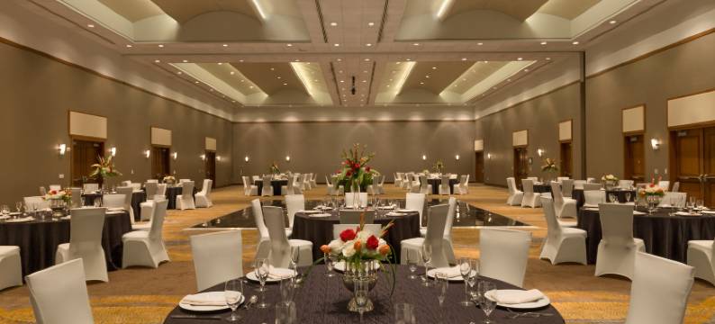 希尔顿酒店-BWI机场(Hilton Baltimore BWI Airport)图片