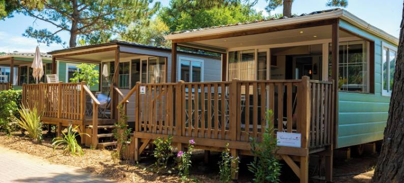 Trasimeno露营度假村(Trasimeno Glamping Resort)图片