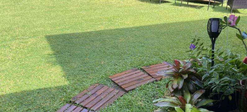 Manaeva旅馆(Manaeva Lodge)图片