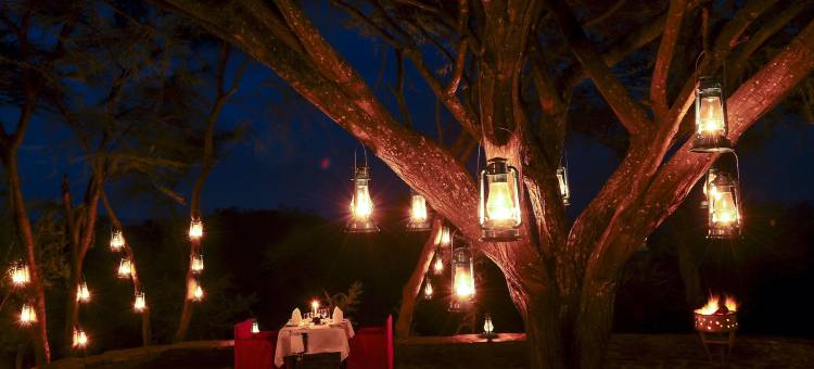 塞蕾娜塞伦盖蒂野生动物园小屋(Serengeti Serena Safari Lodge)图片