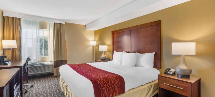 洛杉矶蒙特雷公园舒适酒店(Comfort Inn Monterey Park - Los Angeles)图片