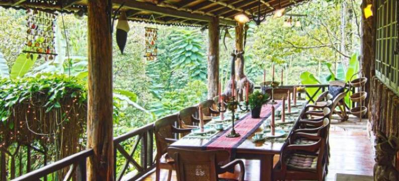 无花果树山度假村(Fig Tree Hill Resort)图片