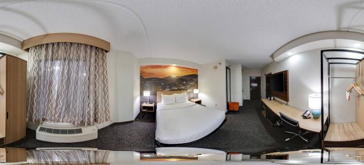 克拉丽奥波恩特酒店-塞维尔维尔-鸽子谷(Clarion Pointe Sevierville-Pigeon Forge)图片